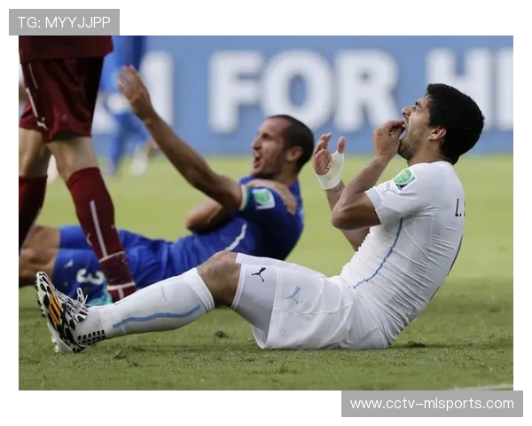 英超球迷文化调查,客场观赛旅行趋势上升